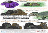 What about this guy? Ask yourself, why has he got his hat pulled down like that? Coz he's f----ugly. He's f----ugly? .. 0000R, he doesn't WANT you to see his face! Ok, what's this guy's story? Oh, that's a V-Rex. Go on... They're sworn enemies of my species according to supportive material. Uh-huh... A real bitch to fight when it's alone, incompetent when it's got backup. Okay... That one there usually hunts in the great valley, where his mom and sister marked their territory. And are they as big as him? Who? The mom and sister. Same person! and can no longer sustain themselves in the collapsing ecosystem. Inbred and Evil: Developer commentary confirms that the three seen in the film are inbred due to the environment on Skull Island collapsing, with the one that initially chases Ann being the chi of the other two, who are siblings. It goes a long way in explaining how ugly and vicious they a Word of God is that they were imagined as " inbred hicks in tyrannosaur form". THANKS I HATE IT. • Jawbreaker: The third and last V. rex was killed by Kong from having its mouth forced open, and its jaws shoved backwards. And as a Mythology Gag, Kong then toys with it's broken jaw a bit