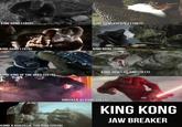 KING KONG (1933) KING KONG ESCAPES (1967) KING KONG (1976) KING KONG (2005) KONG SKULL ISLAND (2017) KONG KING OF THE APES (2016) KONG X GODZILLA: THE RIDE (2026) GODZILLA VS KONG (2021) KING KONG JAW BREAKER