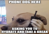 PHONE DOG HERE ASKING YOU TO HYDRATE AND TAKE A BREAK