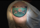 0.0 Reilly