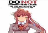DO NOT REPOST THIS IMAGE OR SHE WILL APPEAR IN YOUR ROOM AT 3 AM