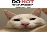 DO NOT REPOST THIS IMAGE OR HE WILL APPEAR IN YOUR ROOM AT 3 AM
