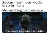 Soccer mom: our kiddo is so brilliant Me, watching them eat glue: Truly stupid the mind of that child is.