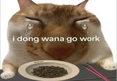 i dong wana go work WUMLARY