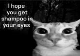 I hope you get shampoo in your eyes