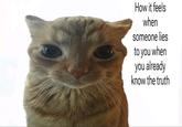 How it feels when someone lies to you when you already know the truth
