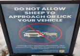 DO NOT ALLOW SHEEP TO APPROACH OR LICK YOUR VEHICLE Licking can spread diseases, like pneumonia, which threaten sheep populations. National Elk Refuge National Wildlife Refuge U.S. Fish and Wildlife Service