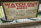 WATCH OUT FOR THIEVING BIRDS THAT'S RIGHT, THERE'S A REASON THOSE BIG BIRDS ARE HANGIN' AROUND, AND IT AIN'T CAUSE WE FEED EM. THEY'RE REAL GOOD AT STEALIN' FOOD, ESPECIALLY FROM YOUNG UNS. So WATCH OUT!