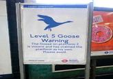 London Underground Level 5 Goose Warning The Goose on platform 2 is violent and has claimed the platform as his own. Please avoid. MAYOR OF LONDON TRANSPORT FOR LONDON T 152-6 1.50 0
