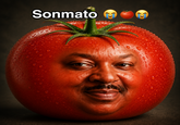 I made this meme because I thought it would be funny to put Anthony Mackie's face on a tomato and call it "Sonmato." The random idea and silly design make it more entertaining.