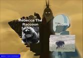 @americanistmemes Rebecca The Raccoon Jimothy