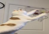 2 3 4