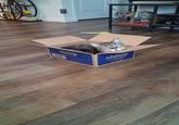 chevy where pet lovers shop 1 COM TOFTHE MASTERS THE WORLDS CREAT BELICIONS chewy where pet lovershop