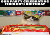 OUR PARTY CELEBRATING EIDOLON'S BIRTHDAY PY BIR imgflip.comapy Cat™