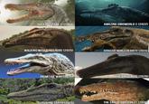 JURASSIC PARK 3 (2001) AMAZING DINOWORLD 2 (2022) WALKING WITH DINOSAURS (2025) JURASSIC WORLD REBIRTH (2025) PRIMITIVE WAR (2025) THE DINOSAURS (2026) SURVIVING EARTH (2026) THE END OF OAKSTREET (2026)