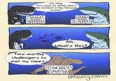 Yo, Meg! You ready to settle who's the baddest in the Miocene ocean? SPERM WHALE ANCESTOR LARGEST SHARK MEG EVERYON Ah... What's this? Two worthy challengers to wet my claws TH THE SEANUS YSLOTHES @slurry.comics