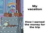 My vacation How I earned the money for the trip