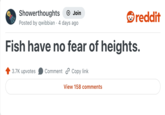 reddit Showerthoughts + Join Posted by qwibbian 4 days ago Fish have no fear of heights. 3.7K upvotes Comment Copy link View 158 comments
