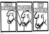 OPTIONS ONLY FOR MARTIALS? NO SPELLS MANEUVERS imgflip.com