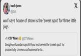 trash jones @jzux X wolf says house of straw is the 'sweet spot' for three little pigs NCTV News @CTVNews Google co-founder says 60-hour workweek the 'sweet spot' for productivity ctvnews.ca/business/artic...