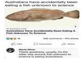 Australians have accidentally been eating a fish unknown to science IFLSCIENCE.COM Australians Have Accidentally Been Eating A Fish Unknown To Science 05k Like i 608 comments 994 shares Comment Share Maria Oliver Thank goodness, usually, it's the other way around, fish unknown to science is eating Australians.