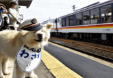 七 わざ 日本 $148 1503