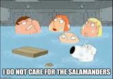 I DO NOT CARE FOR THE SALAMANDERS imgflip.com