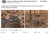 Deer in Places they Shouldn't Be @deershouldnt X.com I NEARLY FORGOT TO GIVE YALL A FAT F--- THIS FINE FRIDAY 6:16 AM 1/8/26 - 31K Views 6 • 1773 1K ☐ 48 企