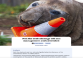 Neil the seal's damage bill and management costs revealed By Jano Gibson Animals Posted Wed at 4:29pm In short: Neil the elephant seal has attracted global attention because of his mischievous antics in public places. Tasmania's environment department says managing his twice-yearly visits is costing tens of thousands of dollars to ensure his and the public's safety.