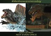 #Methawarenessday Don't do Meth NOT EVEN ONCE