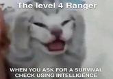The level 4 Ranger WHEN YOU ASK FOR A SURVIVAL CHECK USING INTELLIGENCE