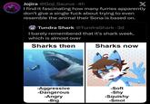 Jojira @Goji_Saurus. 4h X I find it fascinating how many furries apparently don't give a single f--- about trying to even resemble the animal their Sona is based on. Tundra Shark @TundraShark • 3d I barely remembered that it's shark week, which is almost over Sharks then Sharks now -Aggressive -Dangerous -Soft -Shy -Angry -Big -Squishy -Smol