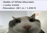 > Battle of White Mountain > Looks inside > Elevation: 381 m / 1,250 ft imgflip.com