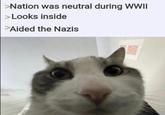 >Nation was neutral during WWII >Looks inside >Aided the Nazis