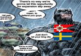 Hell yeah Scandinavia, give em hell There's no way we're gonna let this oppurtunity for expansion slip away ..errr I mean, to defend you guys Protestant German princes Just don't let your king die And try to keep looting of our territories to a minimum