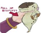 FULL OF BIOMASS