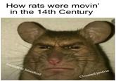 How rats were movin' in the 14th Century Insatiable bloodlust Chiseled jawline