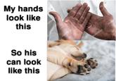 My hands look like this So his can look like this K nutterstock shutterstock Albert AURTUM Albert shutters eck shutterstock shutterst