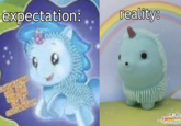 expectation: reality: UNICE CESitte
