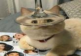hous