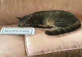 Help us preserve our history. Please do not sit on furniture.