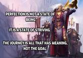 PERFECTION IS NOT A STATE OF BEING IT IS A STATE OF STRIVING. YO THE JOURNEY IS ALL THAT HAS MEANING, NOT THE GOAL.