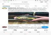 16:59 ← ll 37% x.com ☺ Ù Q Warhammer fantasy ยอดนิยม ล่าสุด ผู้คน สื่อ รายชื่อ < Jyggalag, Princes... @_J... 1.A. 2024 Warhammer Fantasy is so funny cause you'll look up the most powerful mage in a faction and get people that look like mages and then for the lizardmen it's just this 88 1979 11K 208K PancreasNo... @Pancr... 27 n.w. 2025 e Dream of an Elf smashing my nuts with construction equipment, call that Warhammer ||| Q Ø О 21 О