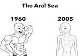 The Aral Sea 1960 2005