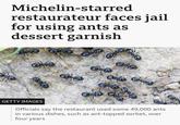 Michelin-starred restaurateur faces jail for using ants as dessert garnish GETTY IMAGES Officials say the restaurant used some 49,000 ants in various dishes, such as ant-topped sorbet, over four years