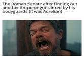 The Roman Senate after finding out another Emperor got slimed by his bodyguards (it was Aurelian)