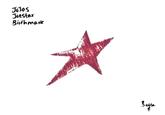 JoJos Joestar Birthmark Belsa
