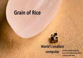 Grain of Rice World's smallest computer World's smallest brush tip but I'm still hella anxious about trying to paint eyes
