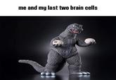 me and my last two brain cells