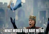 imgflip.com WHAT WOULD YOU HAVE ME DO